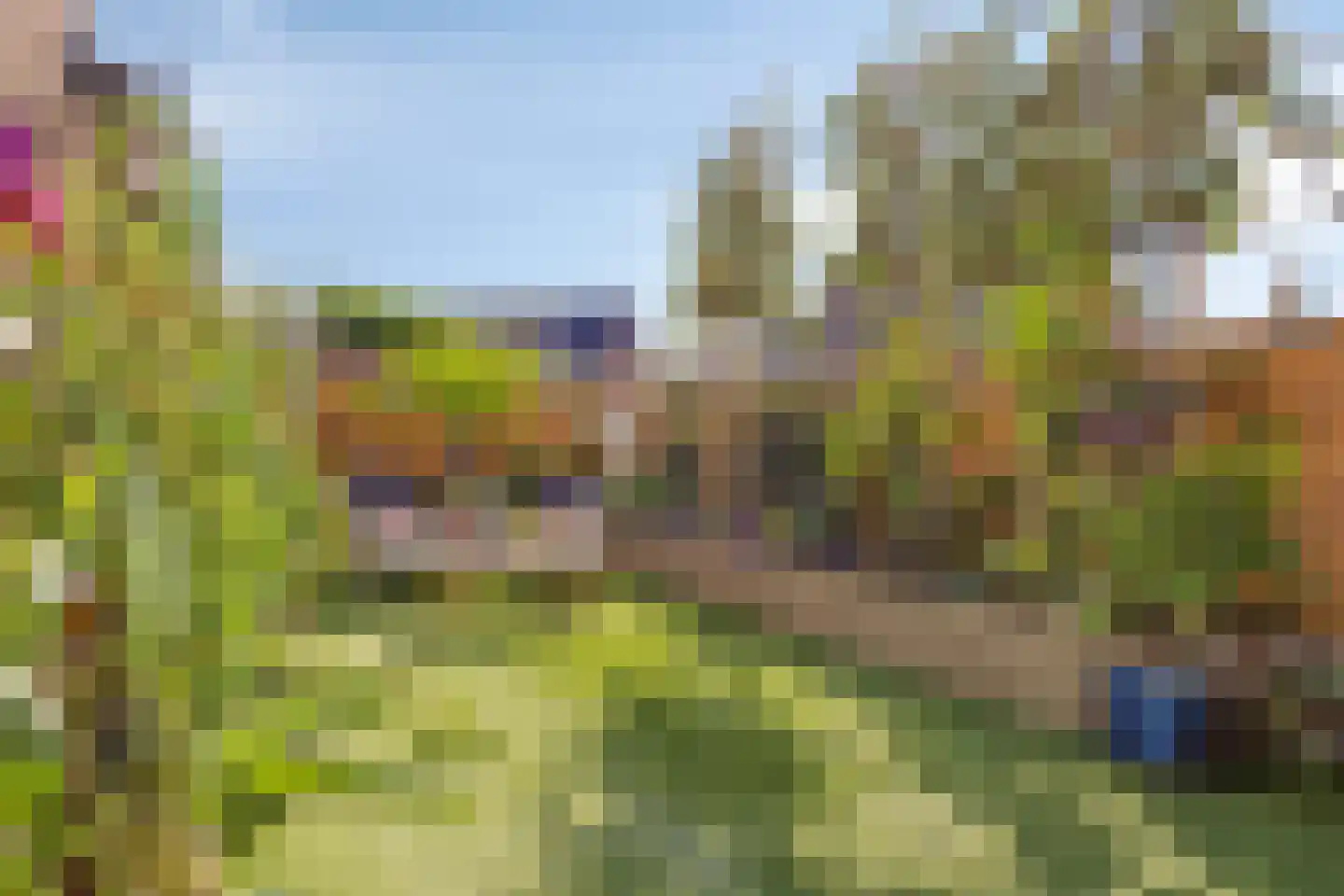 De Braam 116 Deventer thumbnail 4