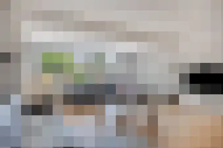 De Braam 4 Deventer thumbnail 11