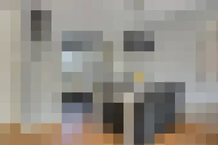 De Braam 4 Deventer thumbnail 14