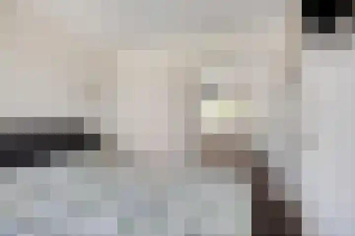 De Braam 4 Deventer thumbnail 20