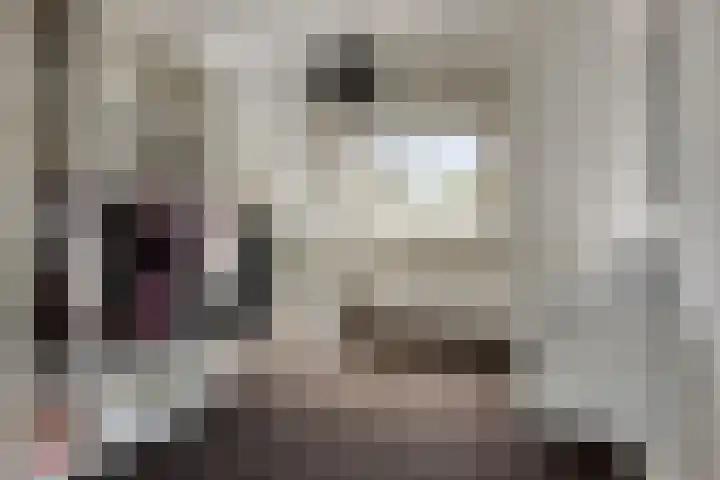 De Braam 4 Deventer thumbnail 21