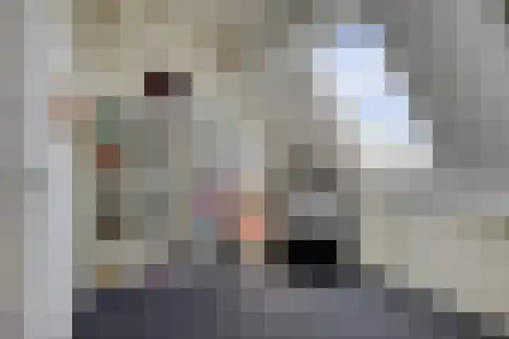 De Braam 4 Deventer thumbnail 25