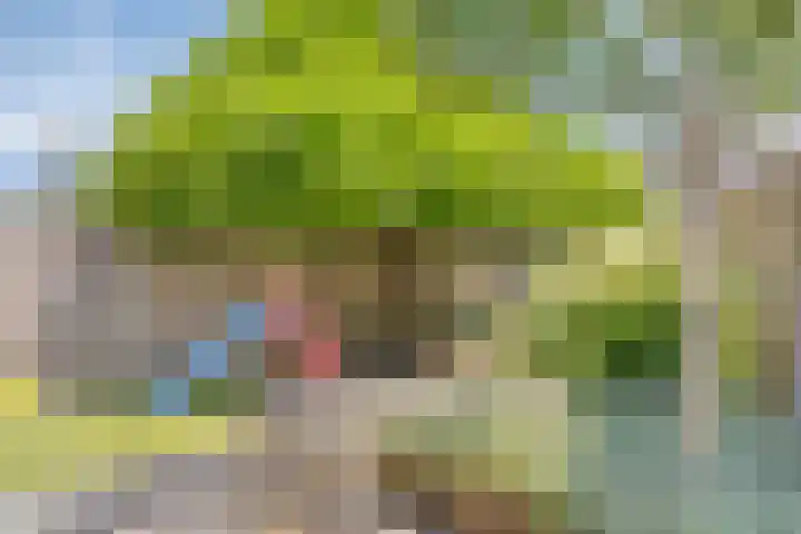 De Braam 4 Deventer thumbnail 27