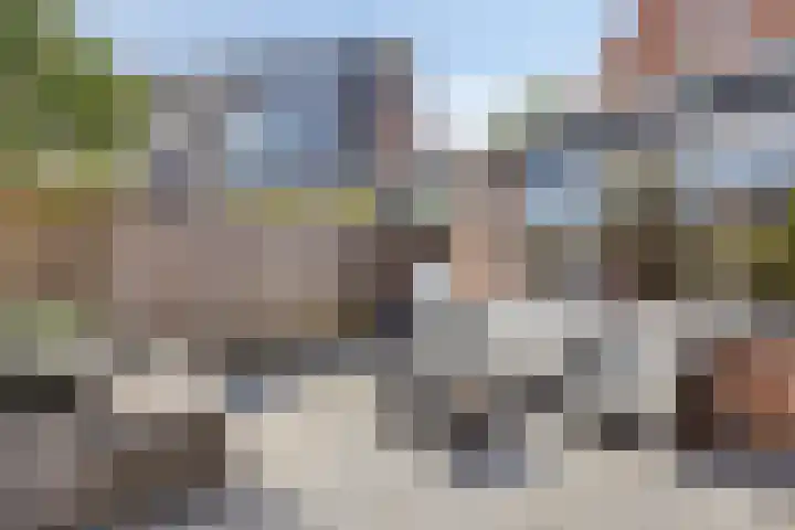 De Braam 4 Deventer thumbnail 29