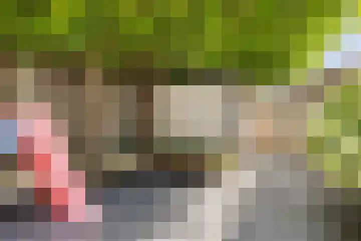 De Braam 4 Deventer thumbnail 31