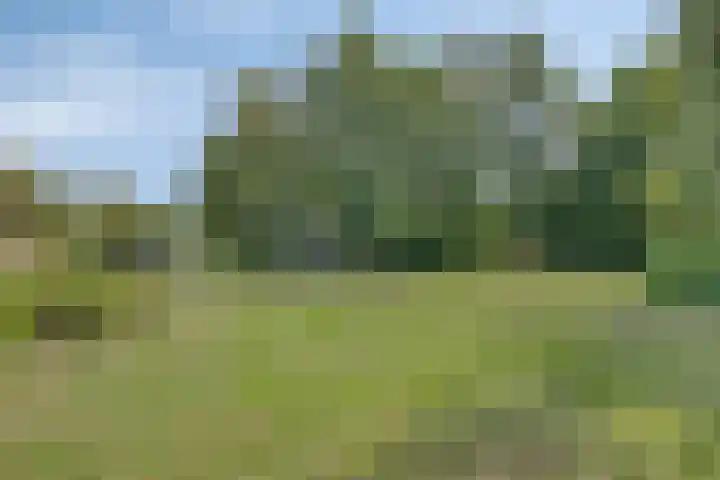 De Braam 4 Deventer thumbnail 32