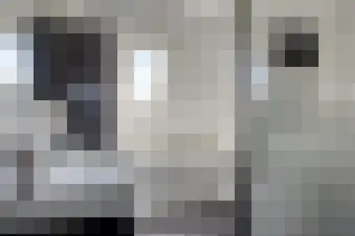 De Braam 4 Deventer thumbnail 4