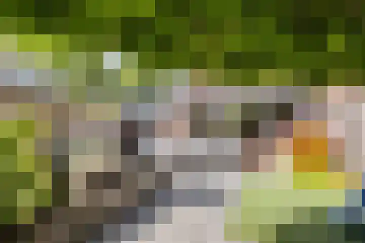 De Braam 4 Deventer thumbnail 5
