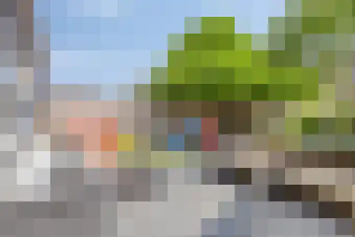 De Braam 4 Deventer thumbnail 6