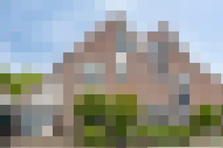 De Braam 84 in Deventer