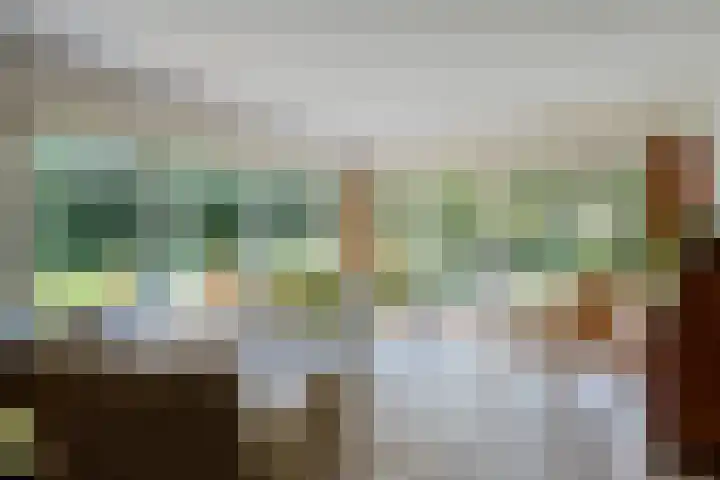 de Braambrink 7 Paasloo thumbnail 14