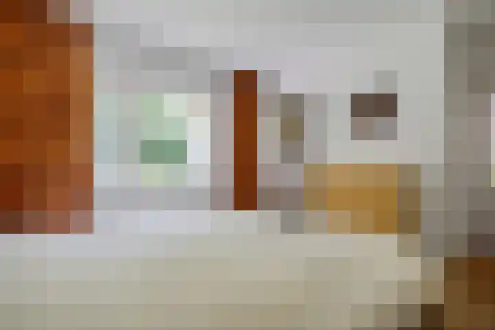 de Braambrink 7 Paasloo thumbnail 18