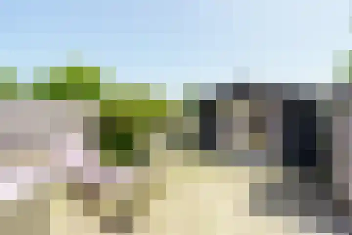 de Braambrink 7 Paasloo thumbnail 20