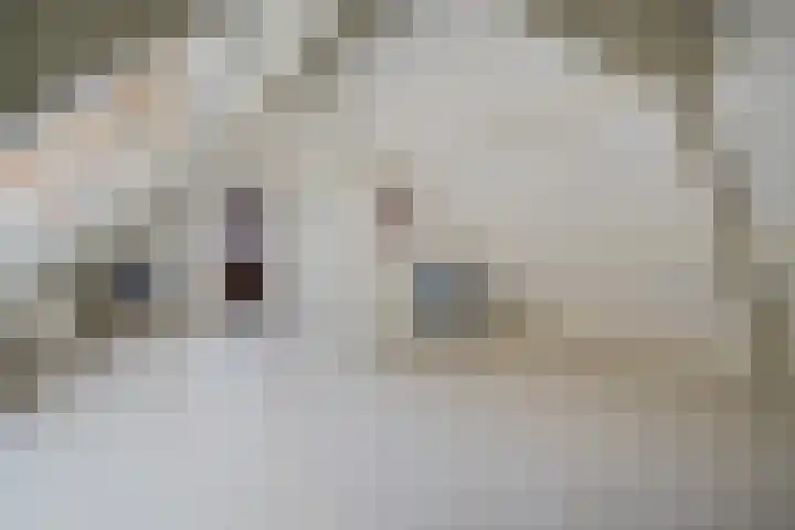 de Braambrink 7 Paasloo thumbnail 27