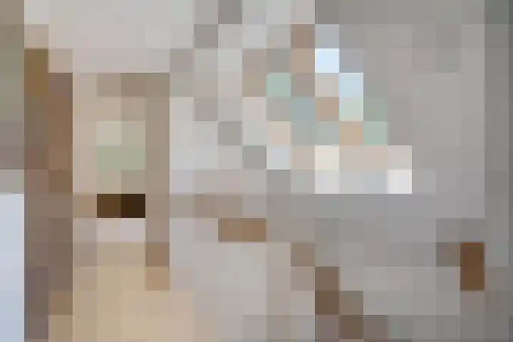 de Braambrink 7 Paasloo thumbnail 33
