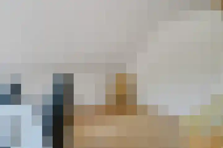 de Braambrink 7 Paasloo thumbnail 34
