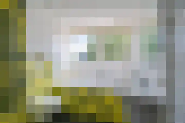 de Braambrink 7 Paasloo thumbnail 36