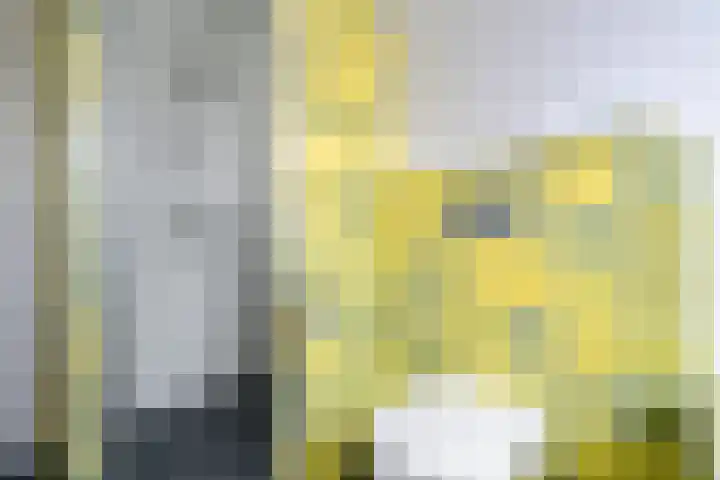 de Braambrink 7 Paasloo thumbnail 37