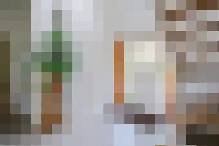 de Braambrink 7 Paasloo thumbnail 4