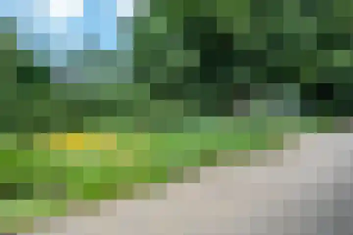 de Braambrink 7 Paasloo thumbnail 43