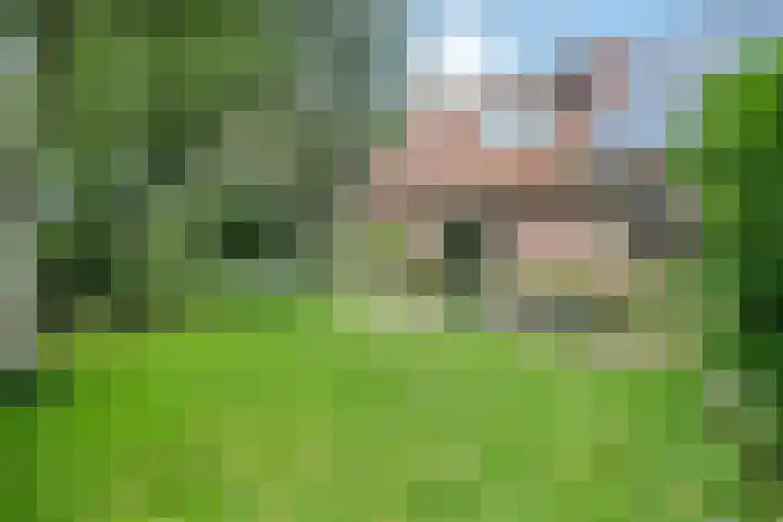 de Braambrink 7 Paasloo thumbnail 48