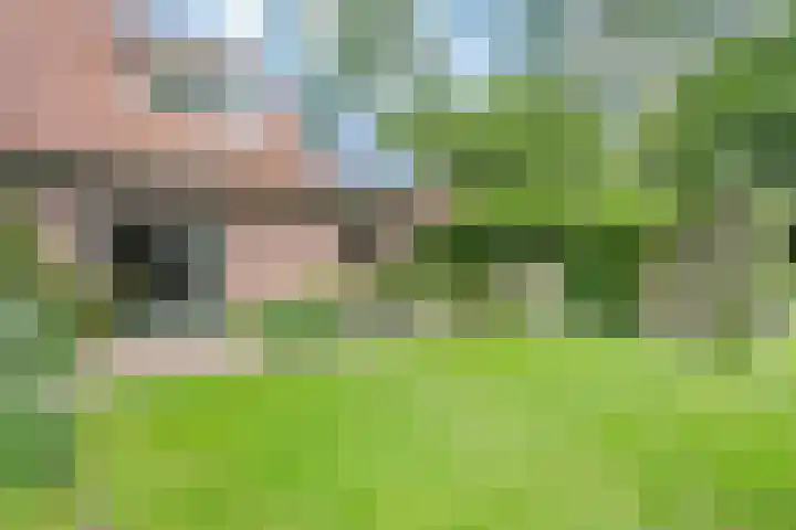 de Braambrink 7 Paasloo thumbnail 49