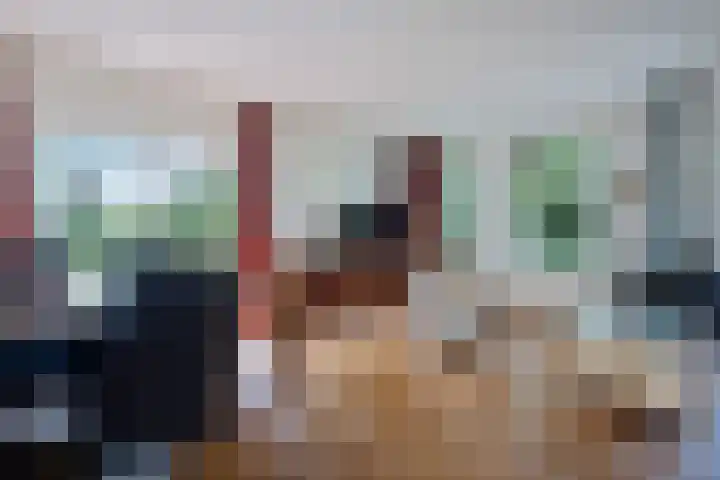 de Braambrink 7 Paasloo thumbnail 5