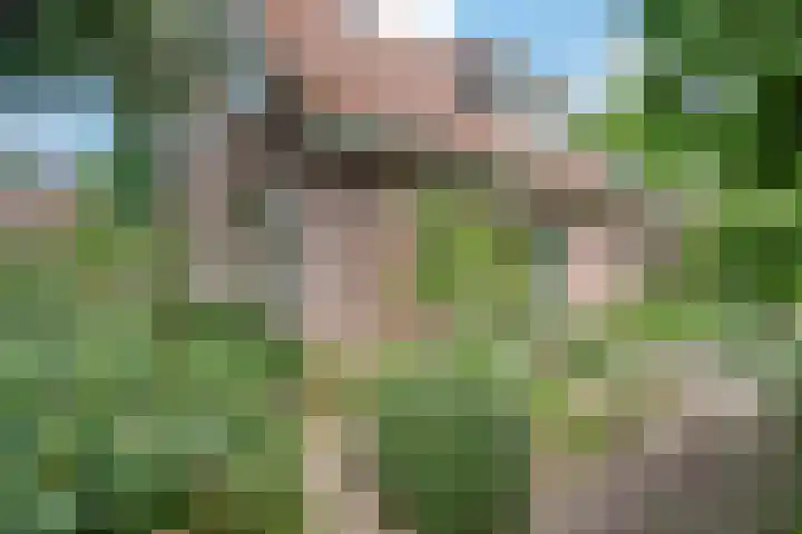 de Braambrink 7 Paasloo thumbnail 50