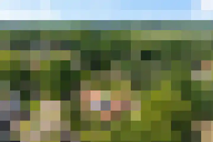 de Braambrink 7 Paasloo thumbnail 55