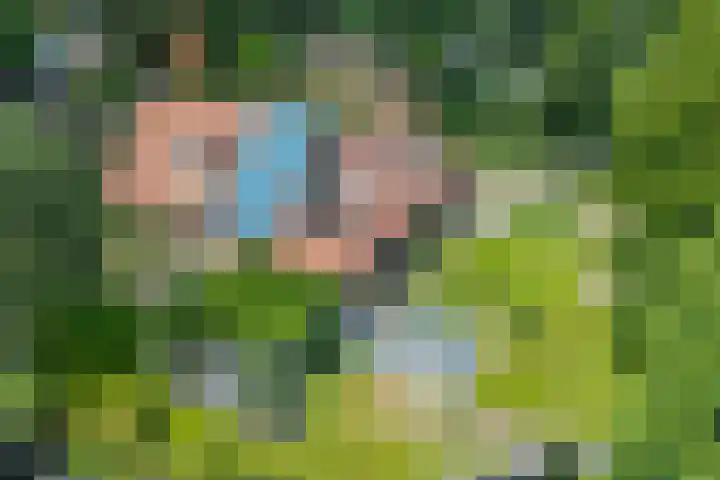 de Braambrink 7 Paasloo thumbnail 56
