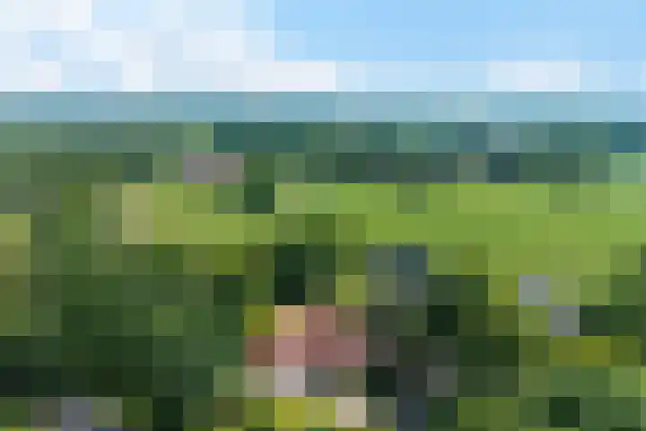 de Braambrink 7 Paasloo thumbnail 57