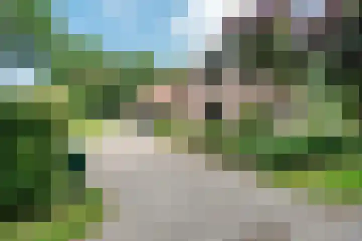 de Braambrink 7 Paasloo thumbnail 63