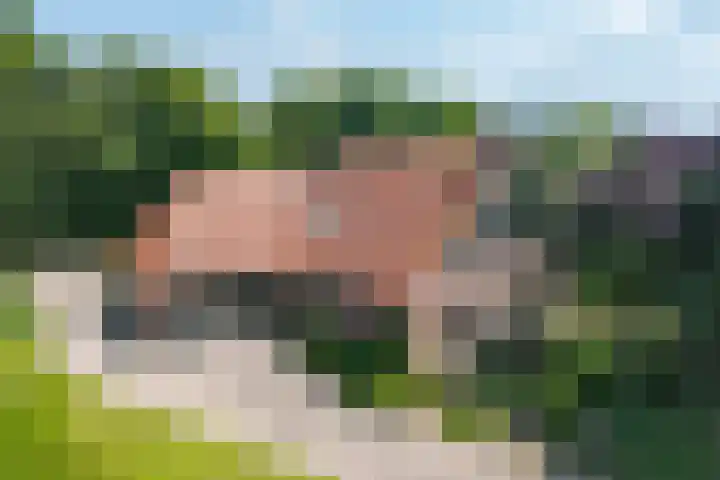 de Braambrink 7 Paasloo thumbnail 67