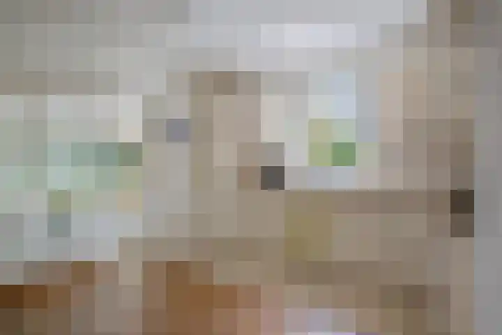 de Braambrink 7 Paasloo thumbnail 9