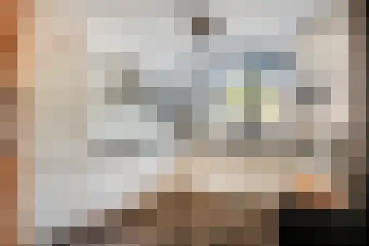 de Brabant 14 Hellevoetsluis thumbnail 11
