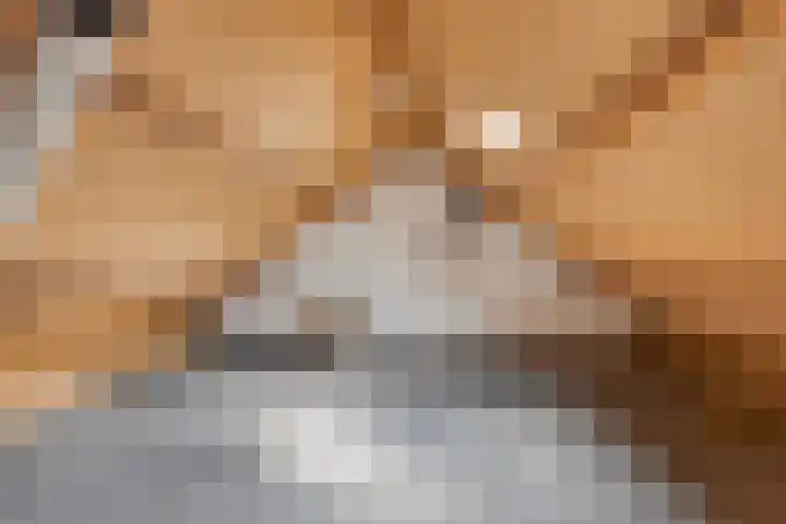 de Braken 21 Reusel thumbnail 32