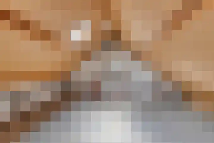 de Braken 21 Reusel thumbnail 33