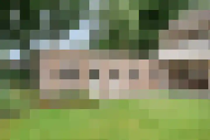 de Braken 21 Reusel thumbnail 36