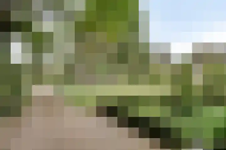 de Braken 21 Reusel thumbnail 40