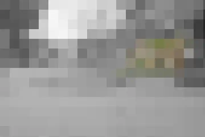 de Braken 21 Reusel thumbnail 42