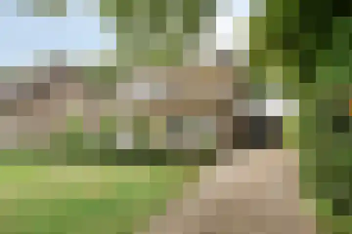 de Braken 21 Reusel thumbnail 46