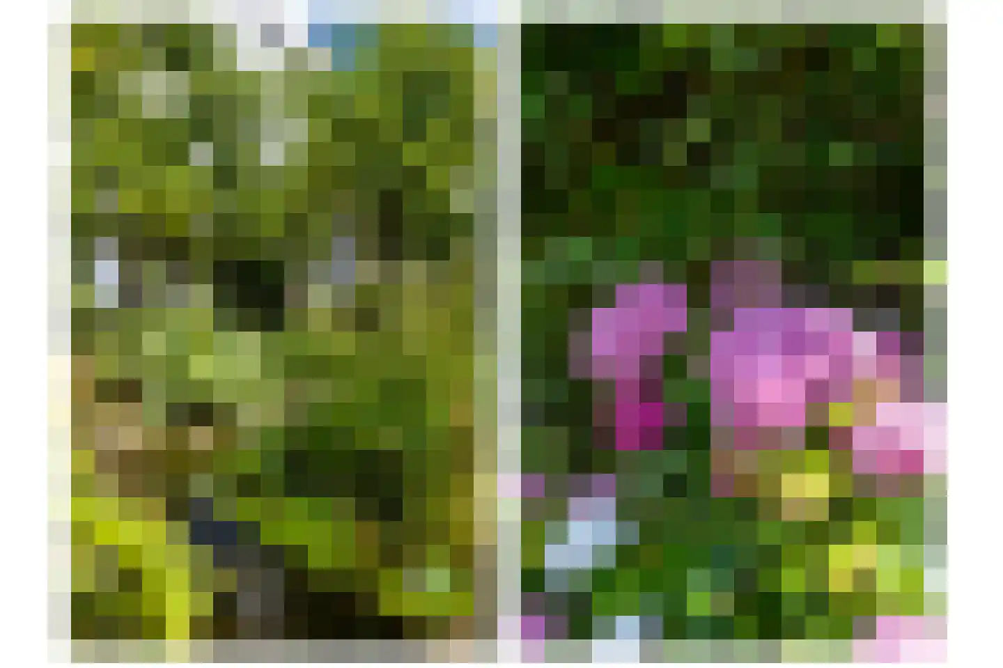De Brân 6 Easterlittens thumbnail 48