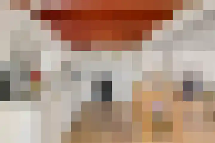 de Brand 4 Rucphen thumbnail 17