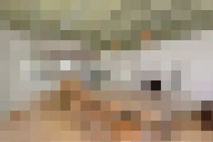 de Brand 4 Rucphen thumbnail 20