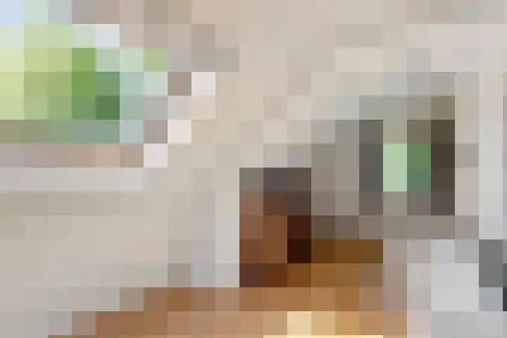 de Brand 4 Rucphen thumbnail 34