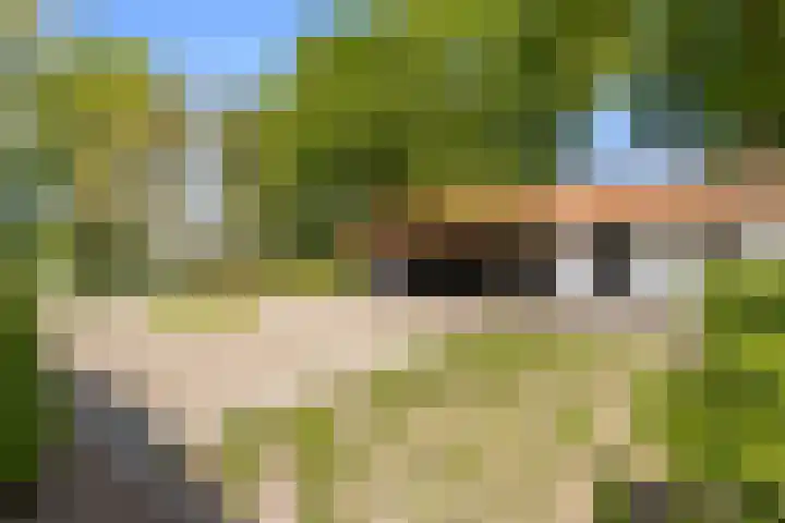 de Brand 4 Rucphen thumbnail 39