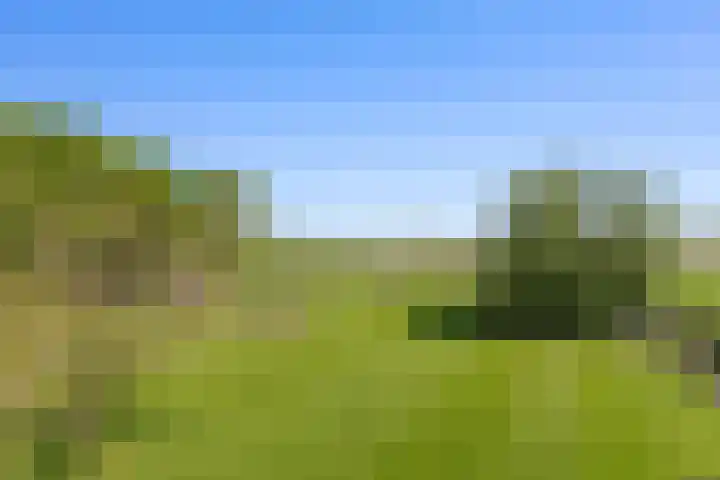 de Brand 4 Rucphen thumbnail 4