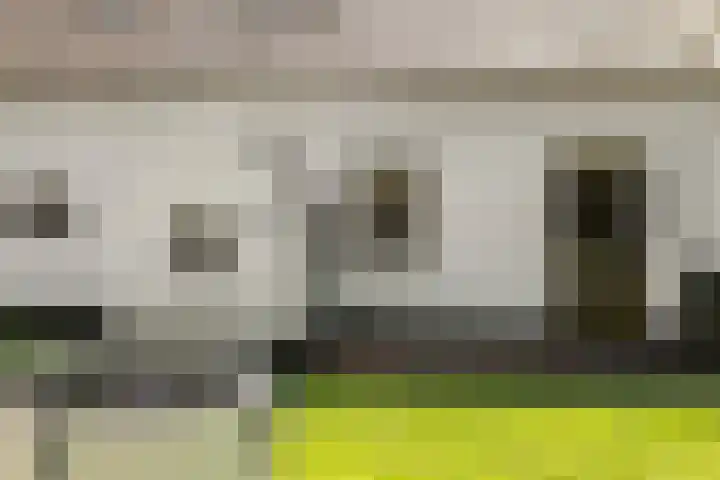 de Brand 4 Rucphen thumbnail 45