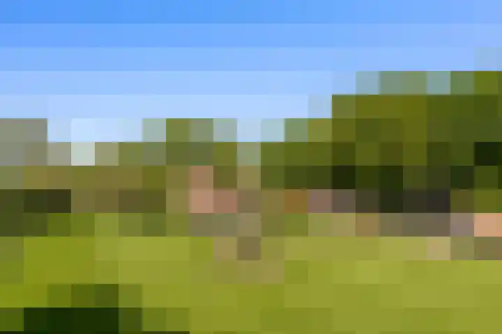 de Brand 4 Rucphen thumbnail 5