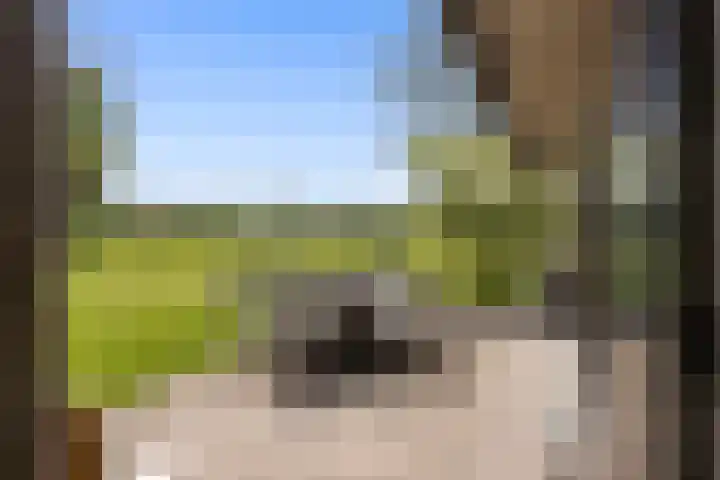 de Brand 4 Rucphen thumbnail 51